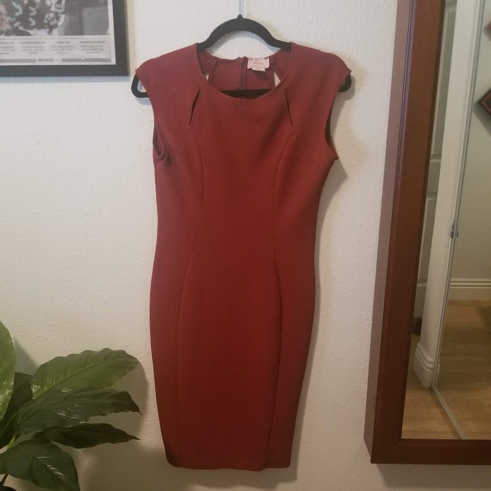 Rust Red Body Con Dress